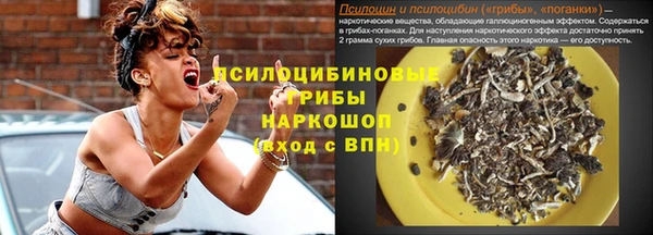 молекула духа Архангельск